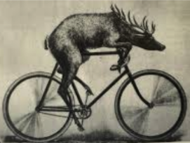 Screenshot 2025-12-19 at 12.32.50